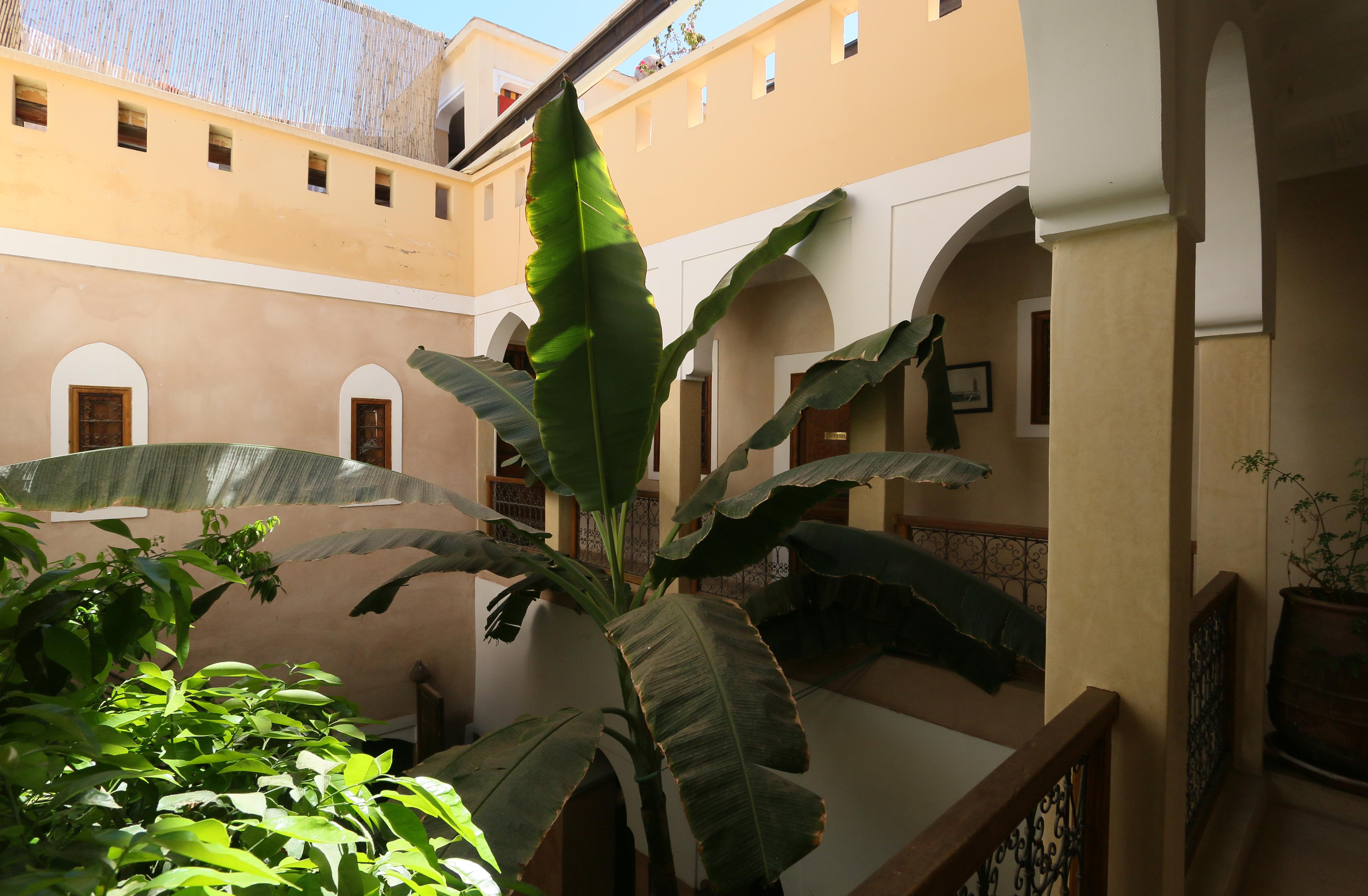 Riad Sidi Mimoune & 3*